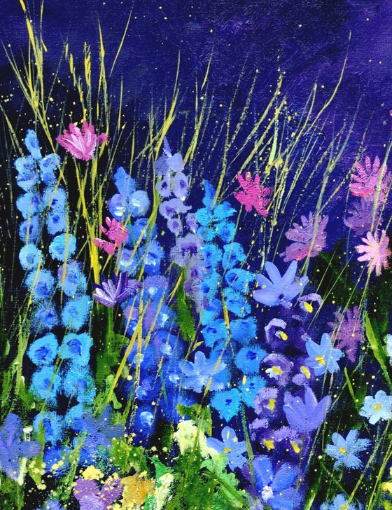 Garden flowers  -5623