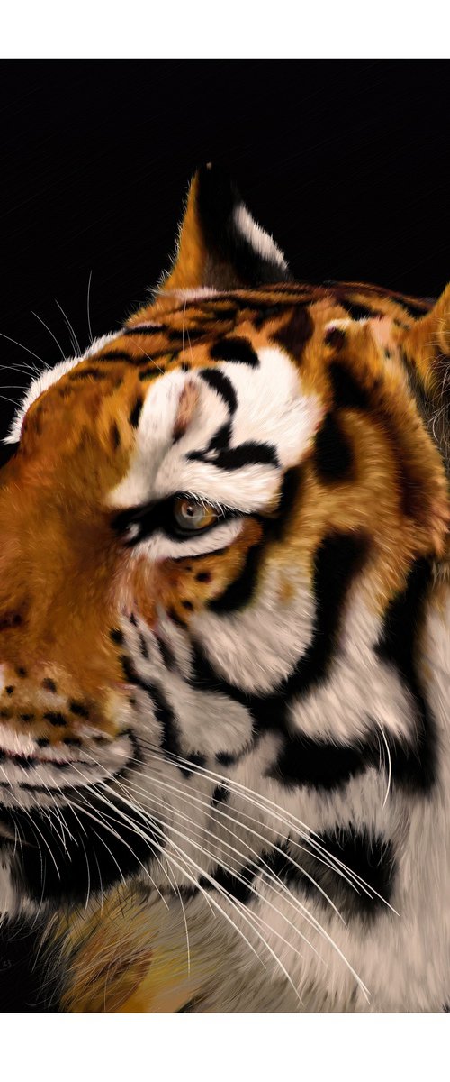 Bengal Tiger Digital Art by Martin Johnson