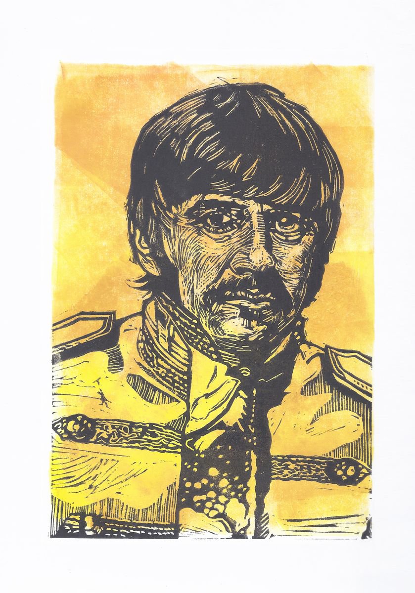 Ringo on Yellow background by Steve Bennett
