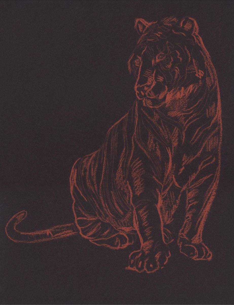 Graphic Animal Pastel Drawing By Kateryna Bortsova, 12 X 17", Tiger, Original Artwork