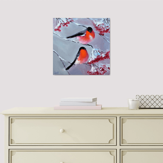 Bullfinches in winter