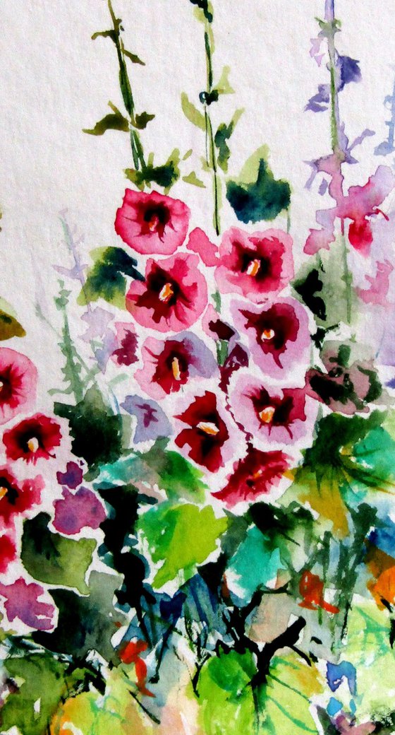 Mallow floral