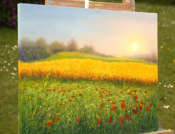 Wheat field in summer
