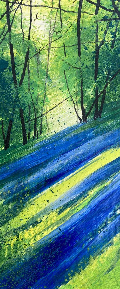 Bluebell Bank by Teresa Tanner