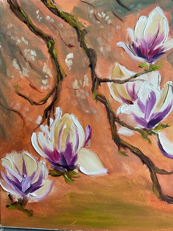 Dutch Magnolia