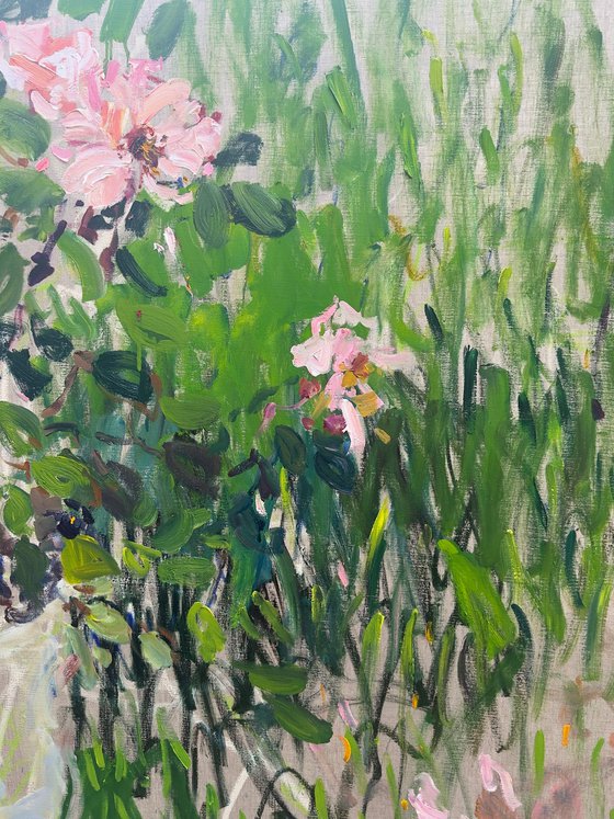 Roses in a summer garden