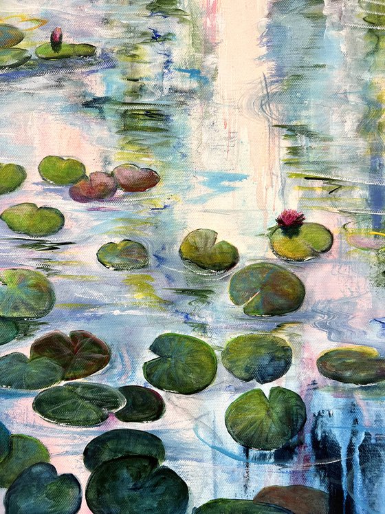 Water Lilies At Sunset 1