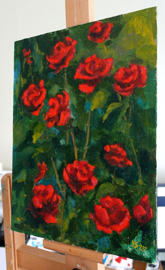 Dark Red Roses