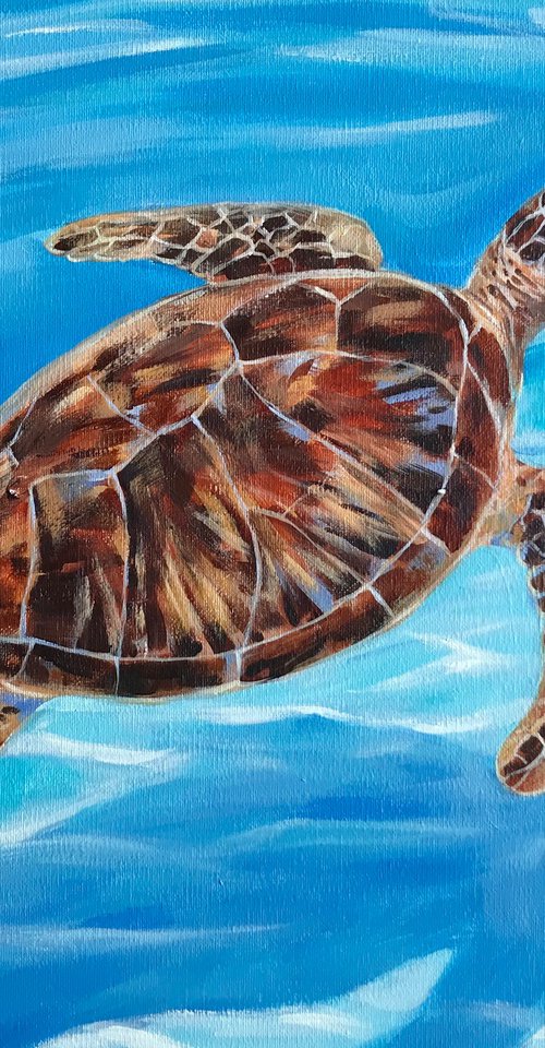 Sea turtle by Irina Redine