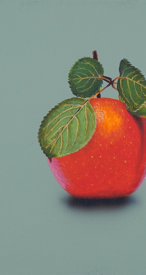 Red Apple on Grey by Dietrich Moravec