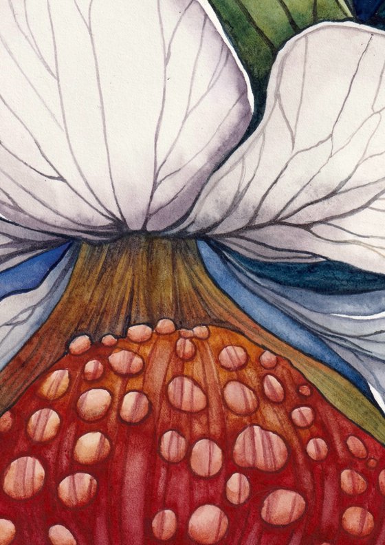 Mushroom Garden 4