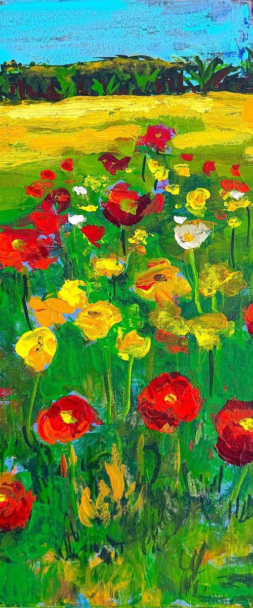 Wild Poppies in the High Grass by Mutlu Ertac