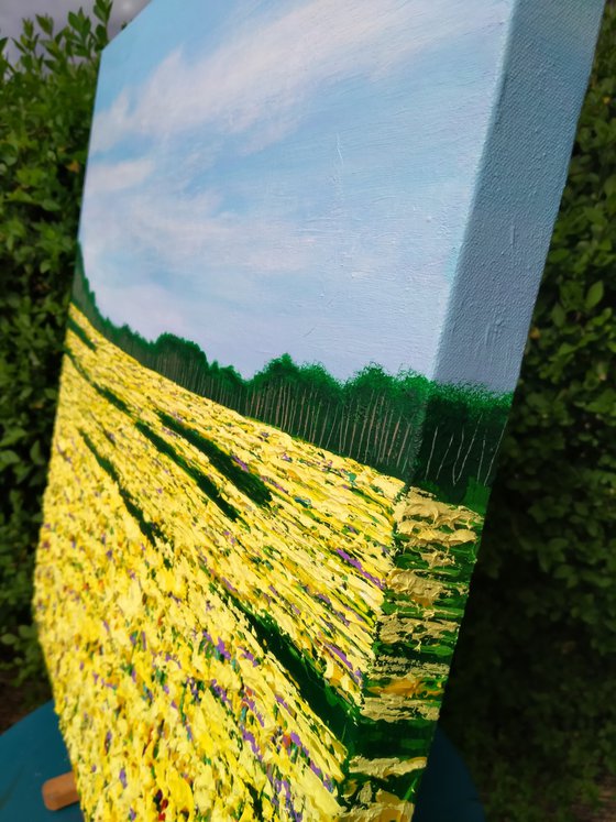 Summer Golden Fields
