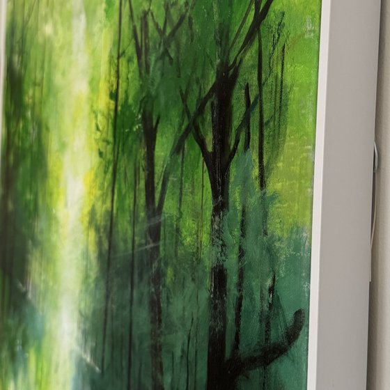 Misty Spring Woodland