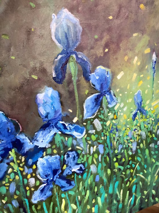 Irises flowers