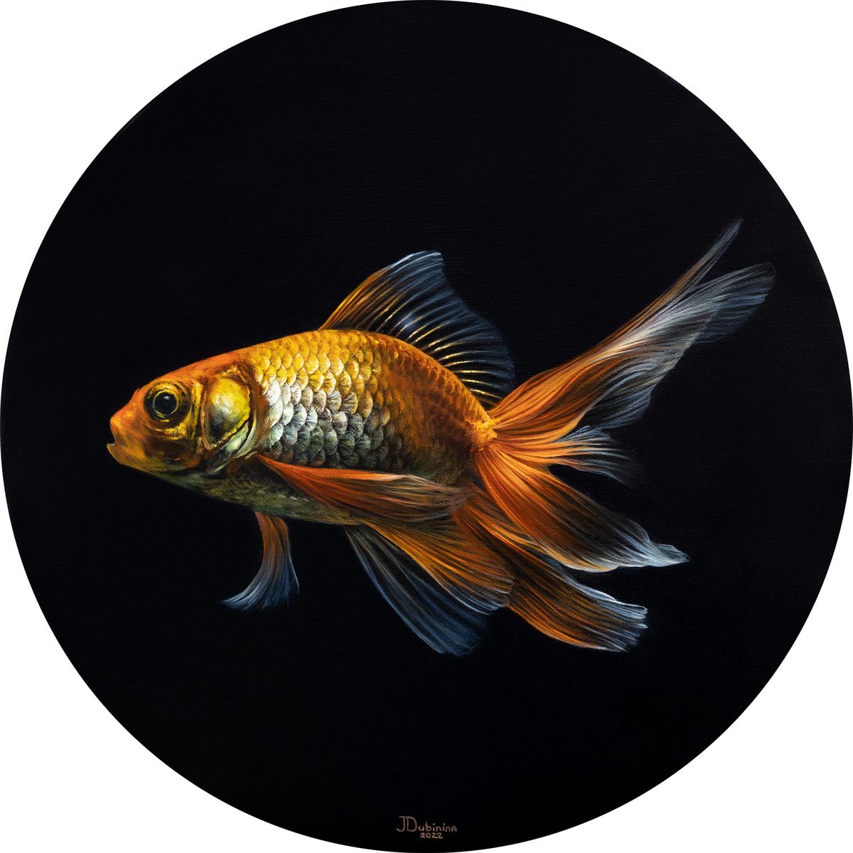 Goldfish by Julia Dubinina