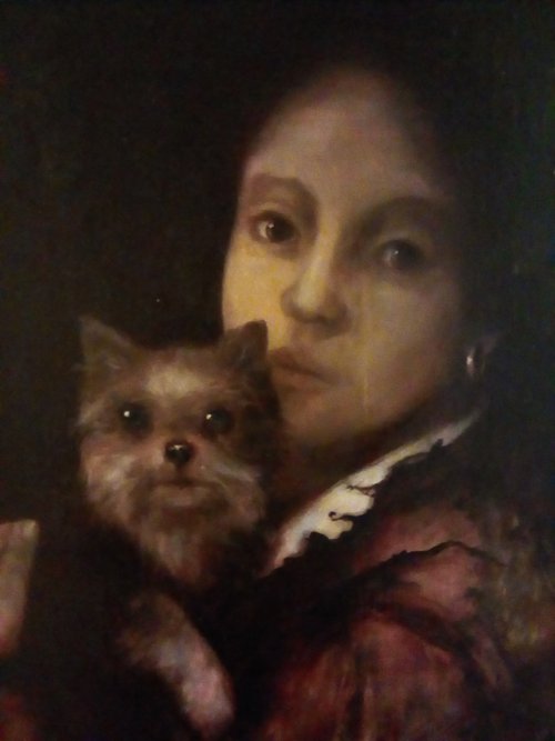 Girl with Yorkshire Terrier by J Alexandra  Connor