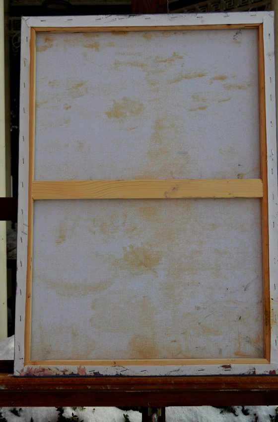 The Solar Rhythm: Water Lilies