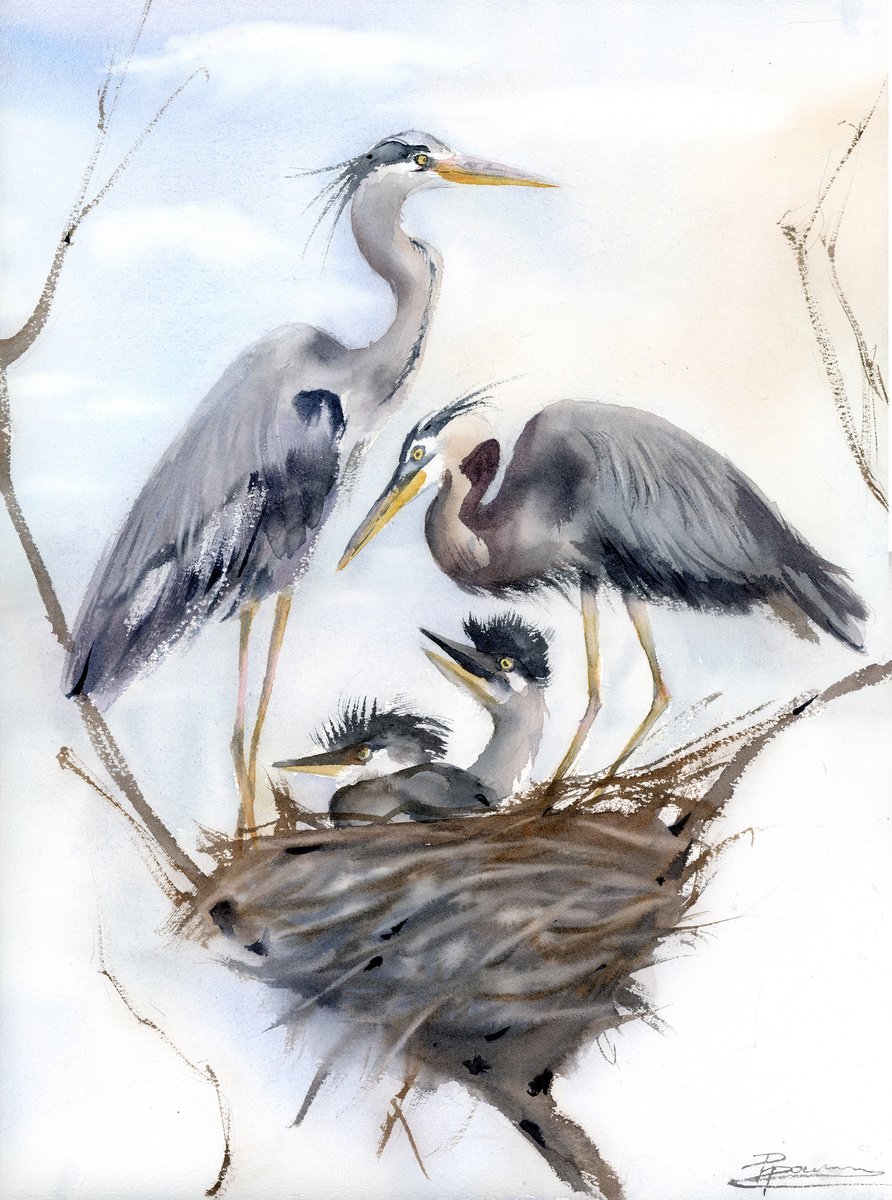 Impressionistic Animal Watercolour By Olga Tchefranov (Shefranov), 12 X 16", Heron Family #1, Original Artwork