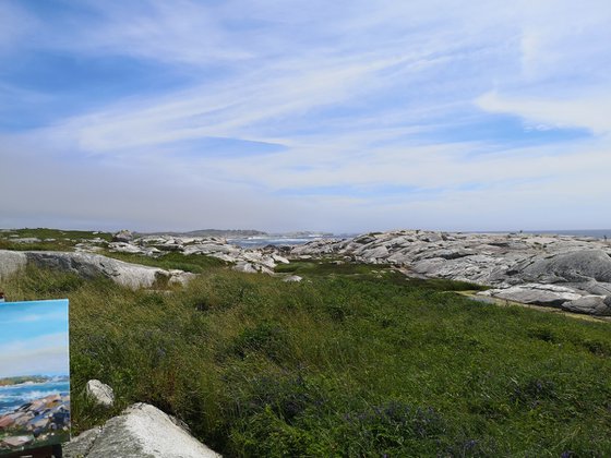 Seascape (plein air) (14×18")