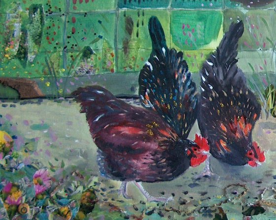 Cockerel with hens