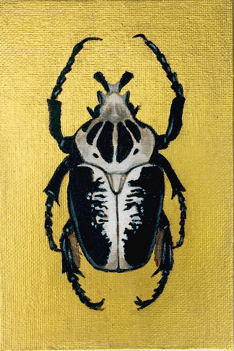 GOLIATHUS - Golden collection of beetles by Tatiana Voskresenskaya