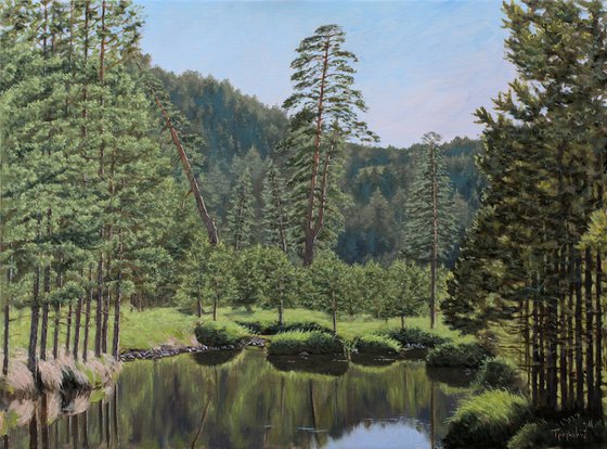 Pond Between Pines