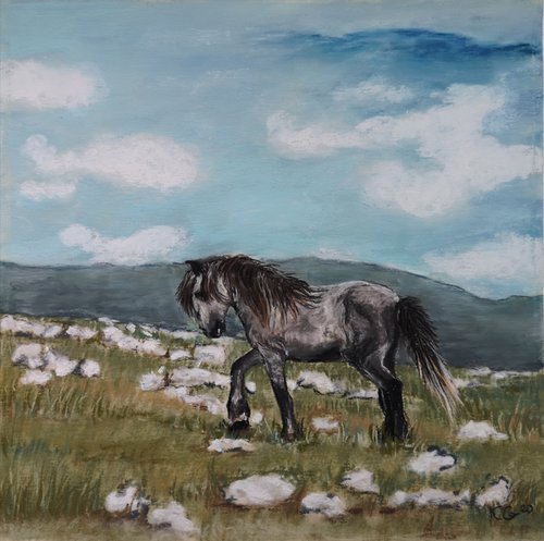 Mountain Horse by Kamila Godlewska