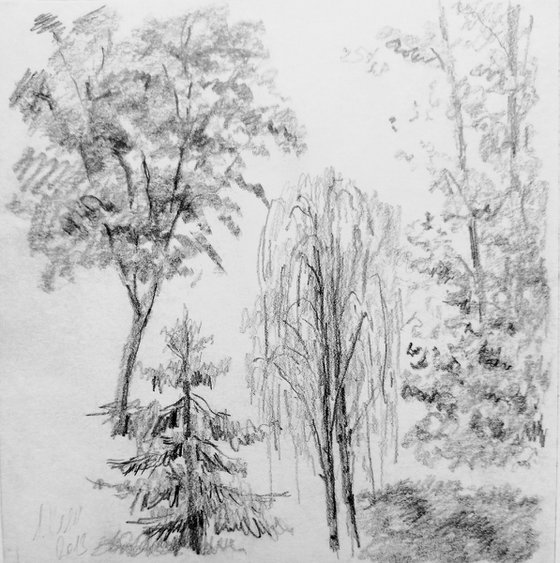 Plein air. Sketch # 1. Original pencil drawing.