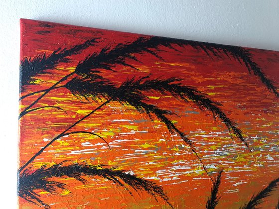 Red Sunset In The Grass