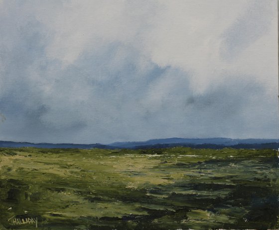 Grasslands, Irish Landscape