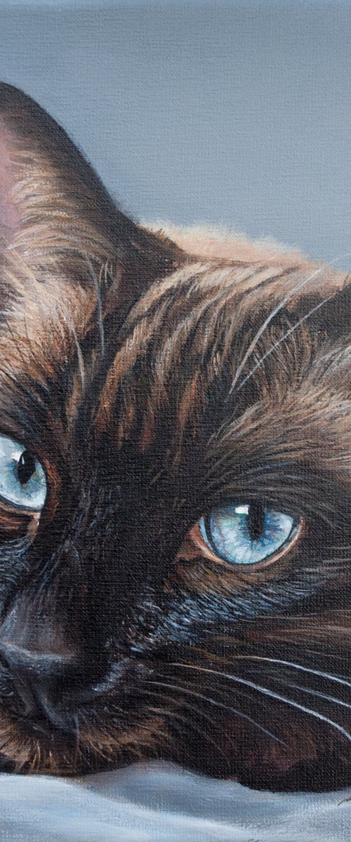 Siamese 4 by Norma Beatriz Zaro