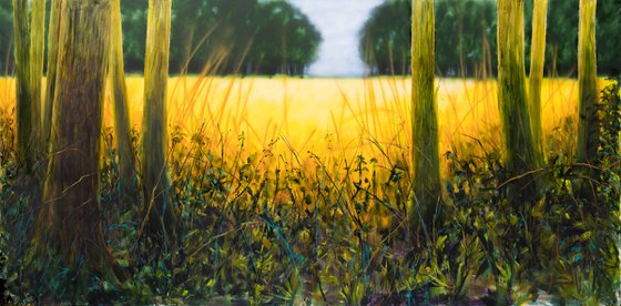 The golden wheat field in the glade