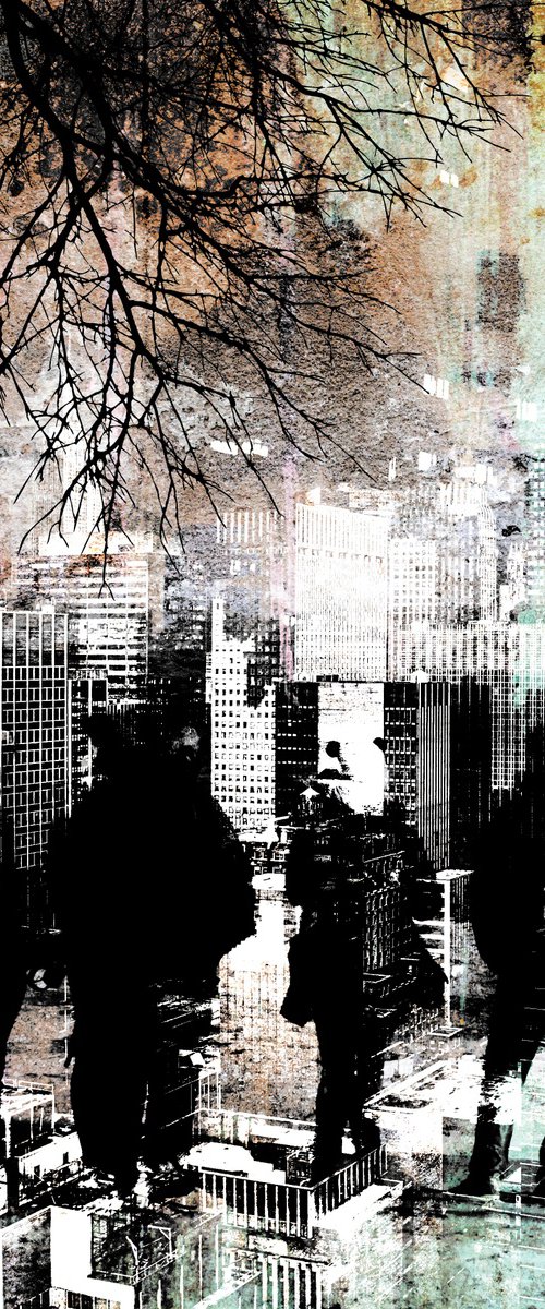 Citizen by Steven Irwin