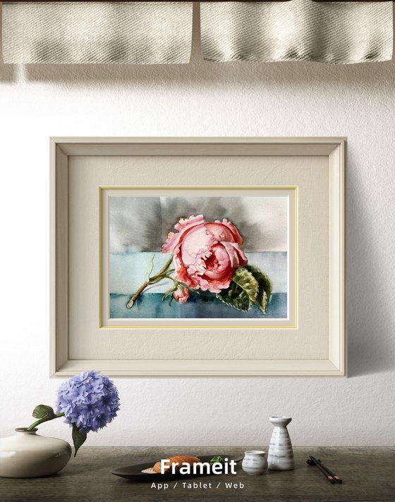 Watercolor pastel pink  Rose queen