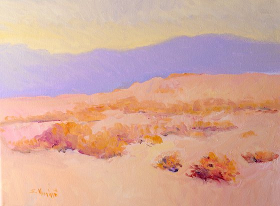Soft Evening Light