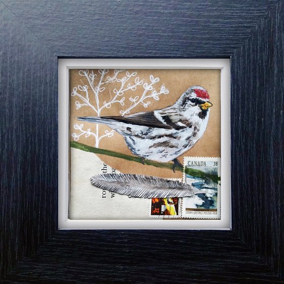 The Redpoll feather  (framed and ready to hang)