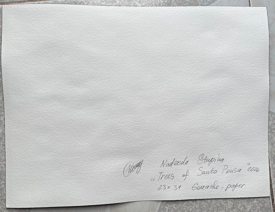 Trees of Santa Ponsa