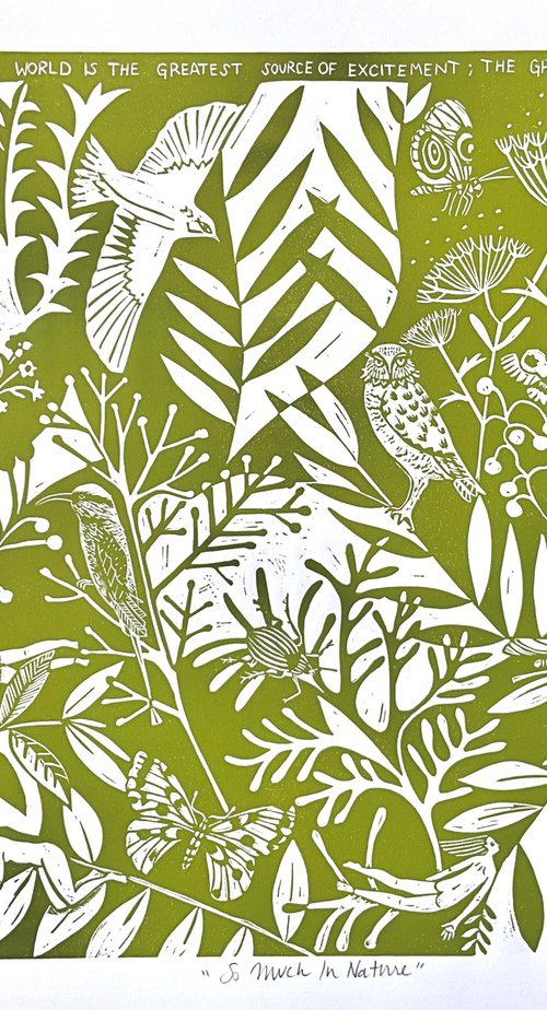 So Much In Nature by Alison Headley