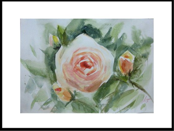whiter roses, 30x21 cm