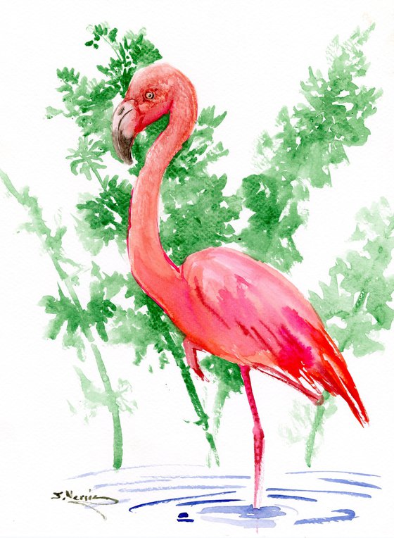 Flamingo