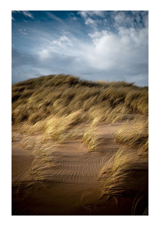 Dunes | Motion | III