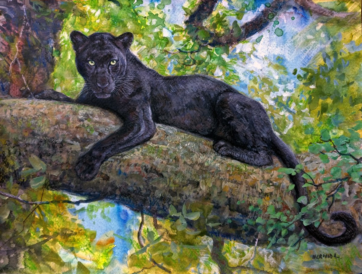Black panther by Gabriel Hermida