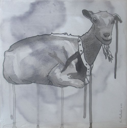 Goat by Ricardo Machado