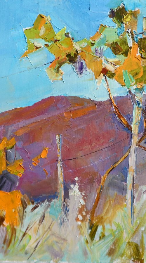 " Vineyards in the mountains" by Yehor Dulin