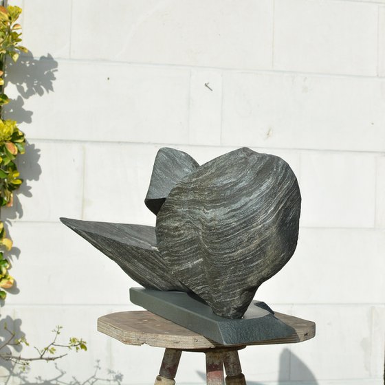 "Particular Insight"