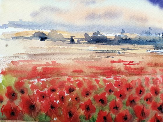 poppies field 3