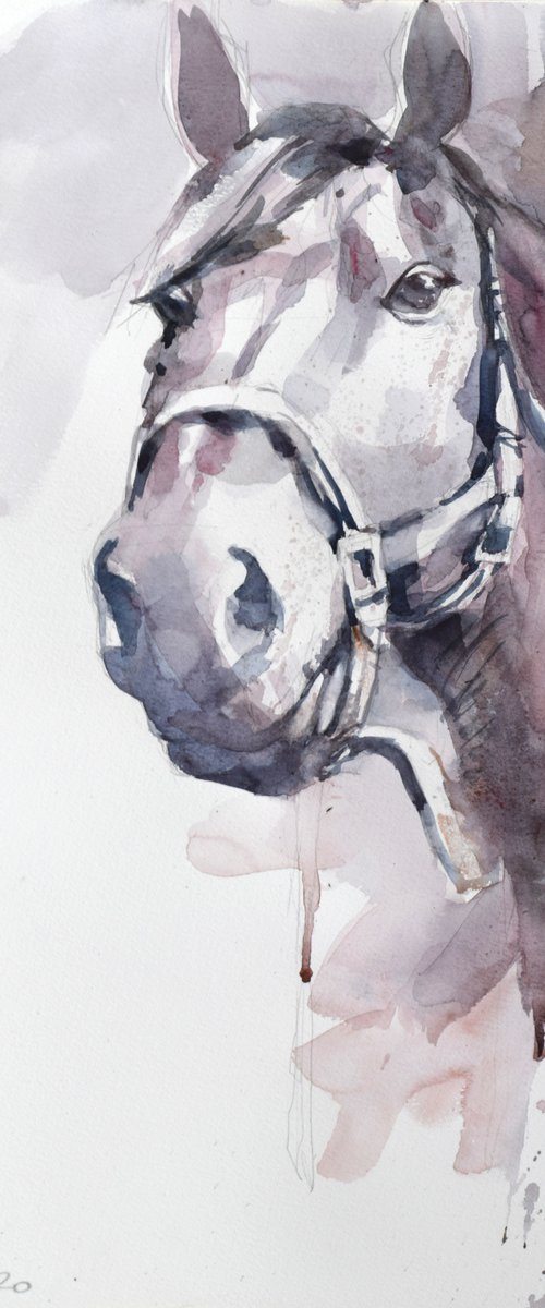 Horse head 8 by Goran Žigolić Watercolors