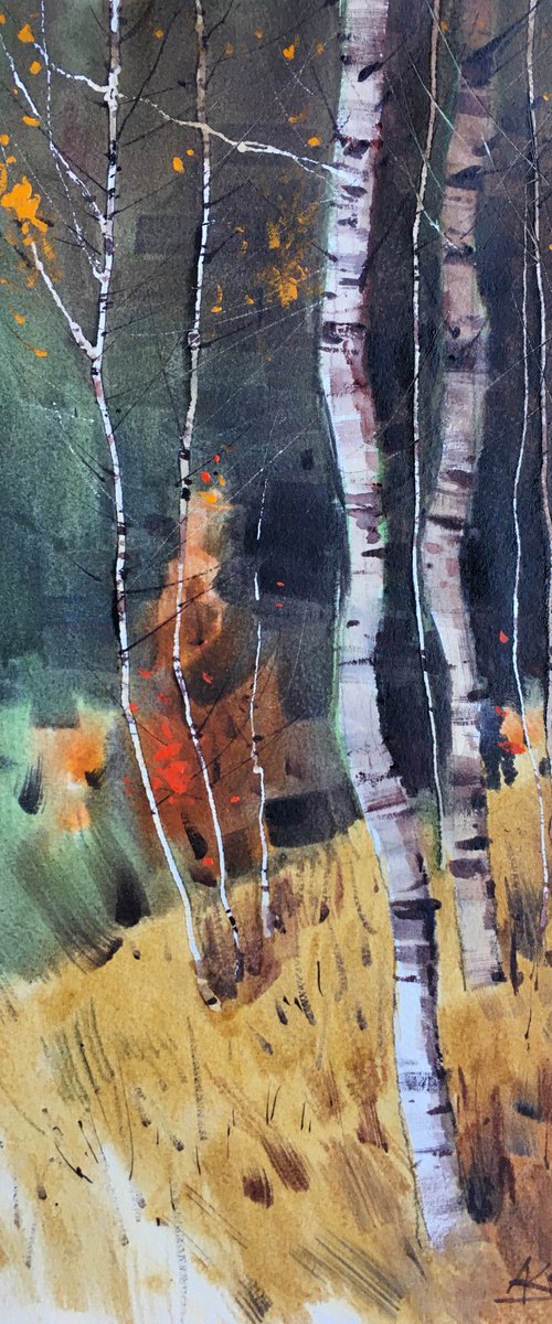 Autumn birches in Carpathians by Andrii Kovalyk