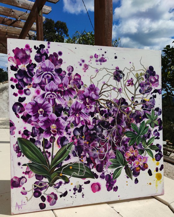 Mauvine, Purple Orchids